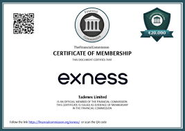 Exploring the Advantages of Exness ECN Account