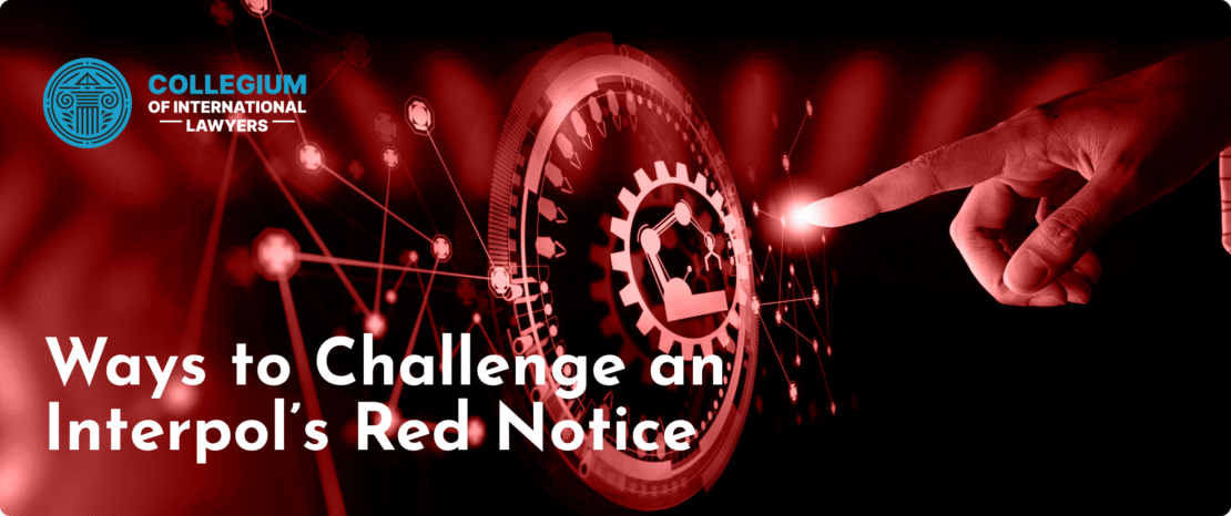 The Unmatched Legacy of the Green Bay Packers in the NFL 369972500 The Unmatched Legacy of the Green Bay Packers in the NFL 369972500